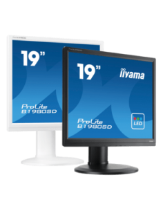 iiyama ProLite B1980S-W1, 48.3 cm (19), kit, white